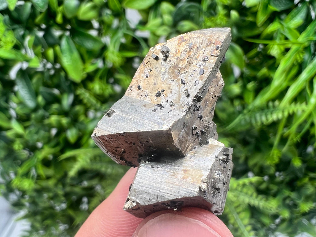 Mini Rainbow Pyrite Cluster: Borieva Mine, Bulgaria