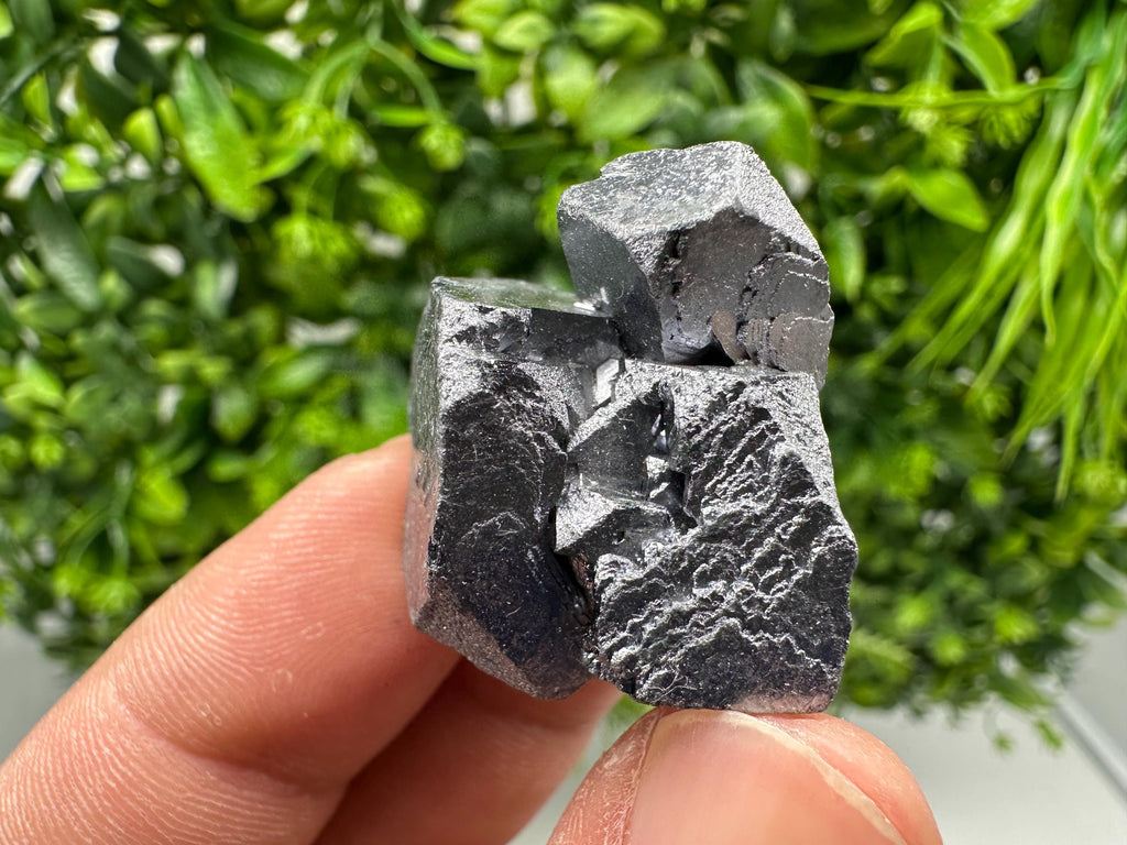 Galena with Sphalerite Specimen, Borieva Mine, Bulgaria