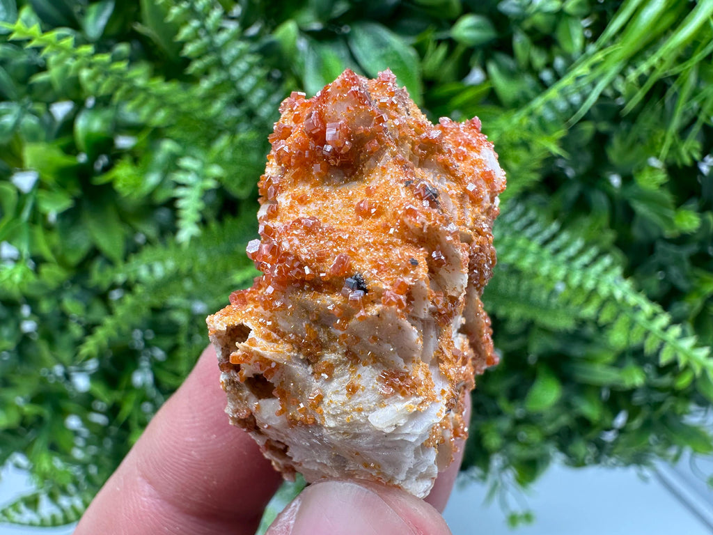 Red Vanadinite Crystal Cluster on Matrix, Morocco Mineral Specimen