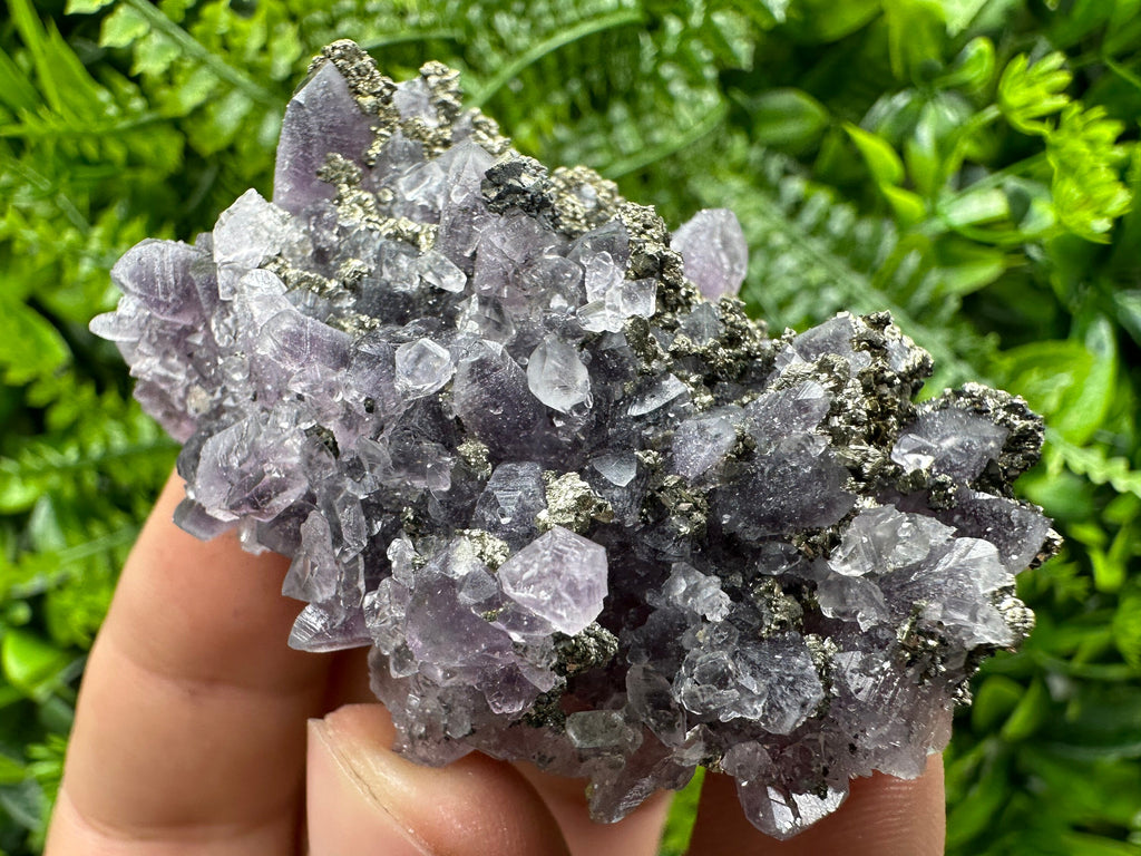Amethyst with Pyrite: Natural Crystal Mineral Souvenir