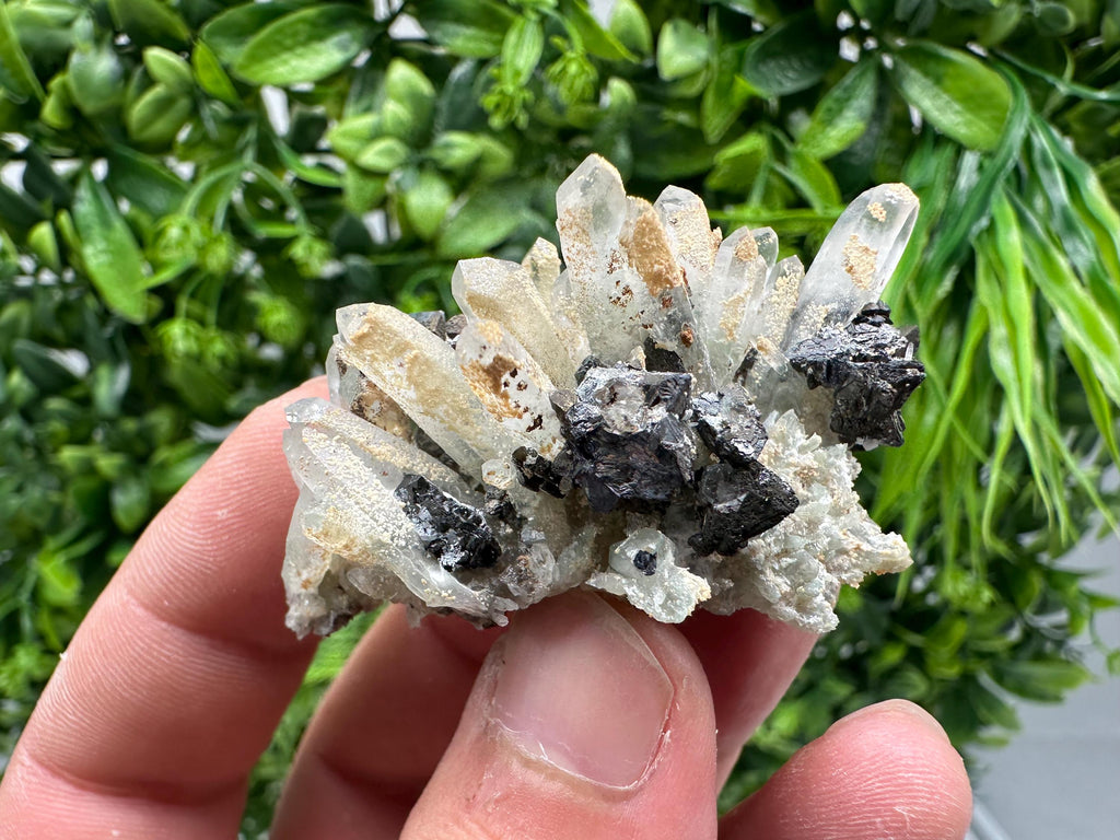 Wonderful Sphalerite Chalcopyrite on Green Quartz whit Hematite feom 9 th September mine,Bulgaria,natural,collection mineral specimen,gift