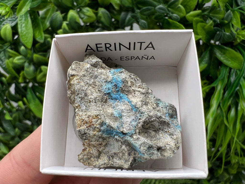 Rare Raw Aerinite Mineral Specimen: Collection Crystal from Lleida, Spain (4/3.5 CM)