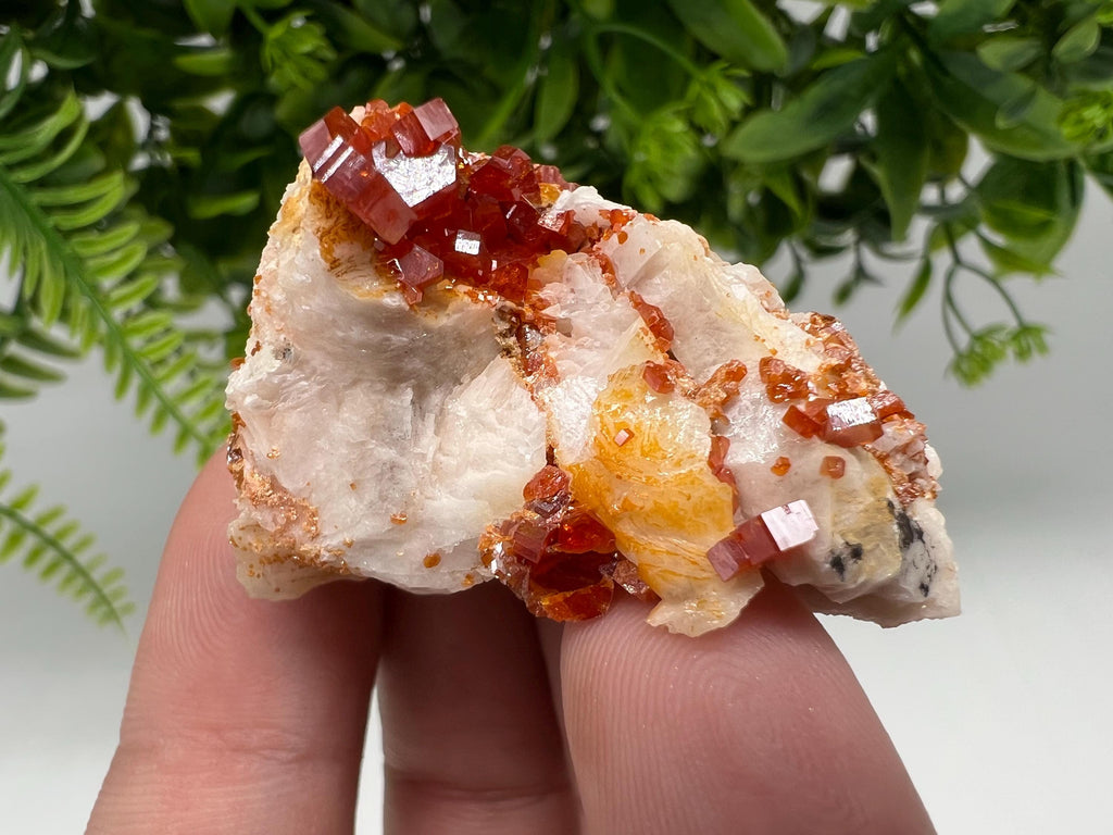 Red Vanadinite on Barite from Marocco,crystal minerals Speciment cluster Vanadinite crystal Vanadinite Geology Vanadinite cluster minerals