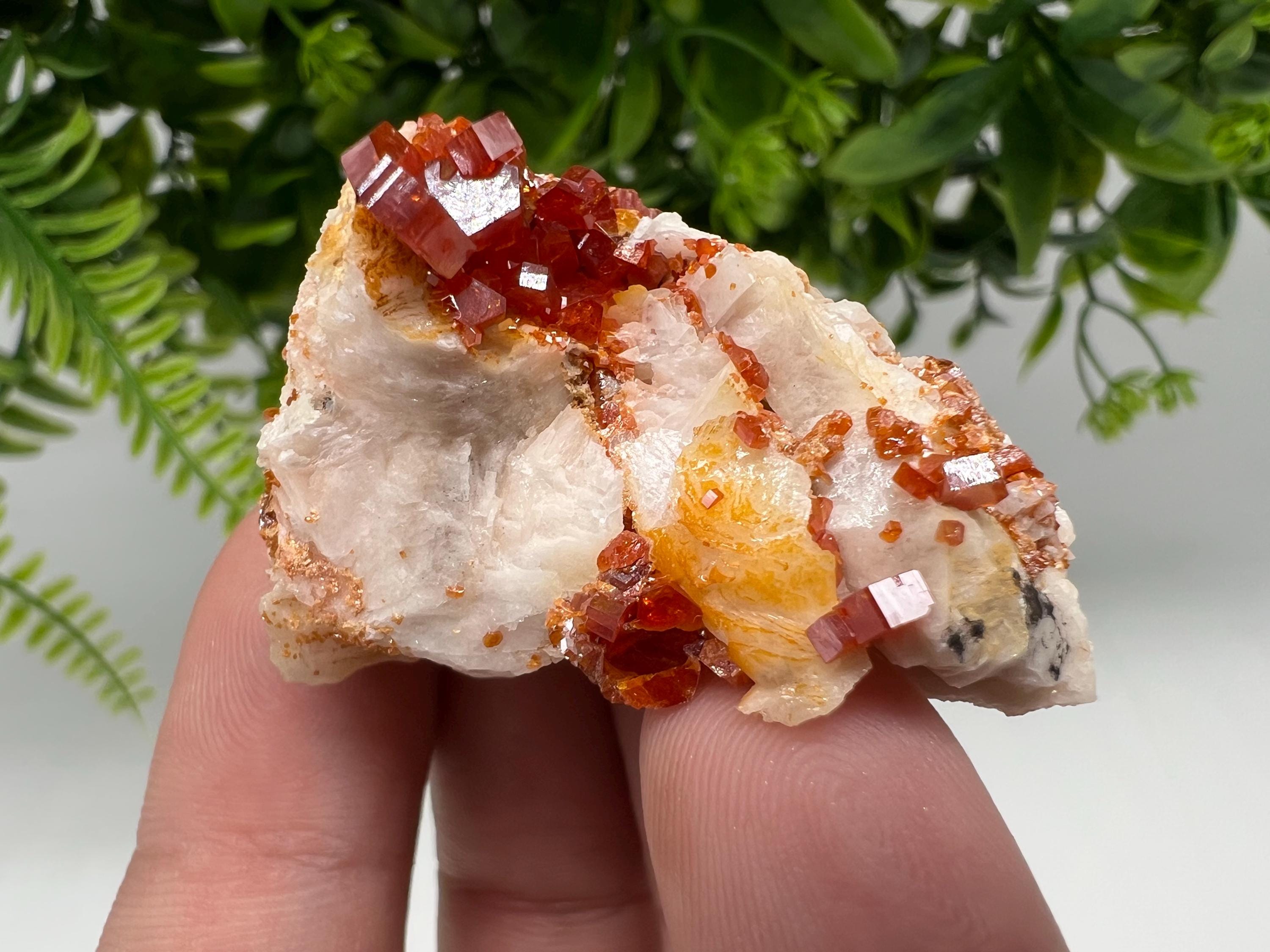 Red Vanadinite on Barite from Marocco,crystal minerals Speciment cluster Vanadinite crystal Vanadinite Geology Vanadinite cluster minerals