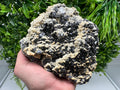 Galena Dolomite Cluster, Krushev dol Bulgaria Mineral Specimen