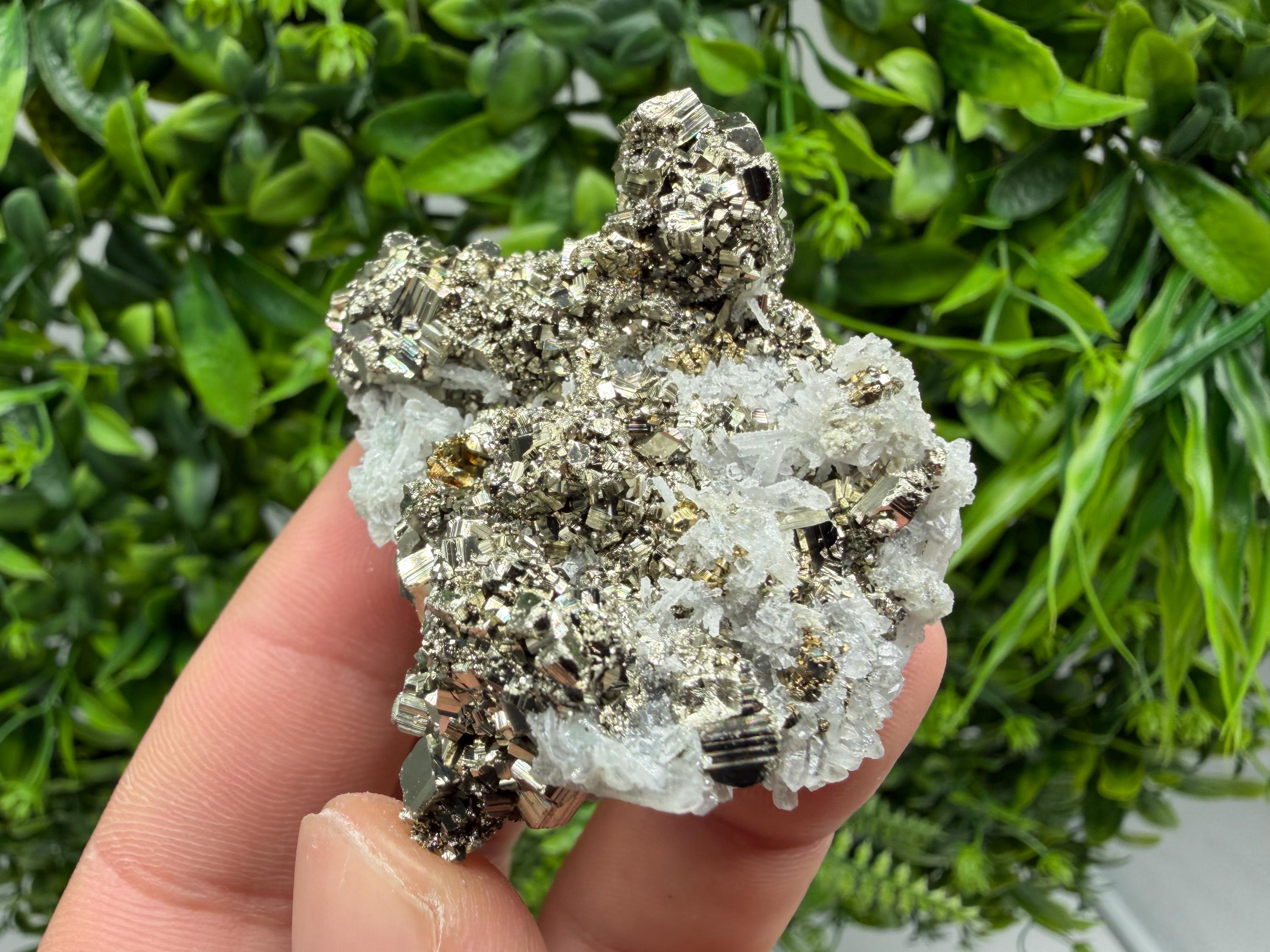 Pyrite Sphalerite Quartz  Mineral Specimen, Krushev dol Mine