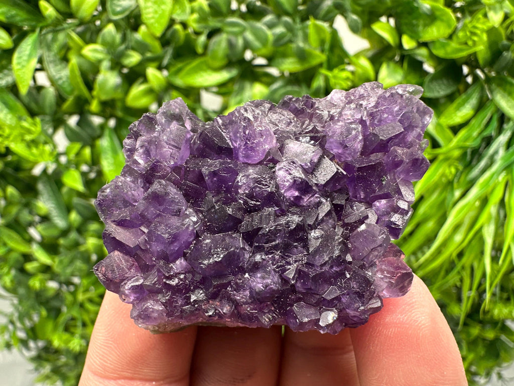 Uruguay Amethyst Cluster: Purple Quartz Crystal, Home Decor