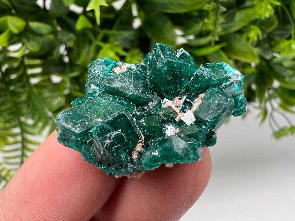 Stunning Green Dioptase from Sanda Hills,Mindouli,Pool Department,Mindouli District,Congo,green Dioptase,Dioptas Crystal,Dioptase collecting