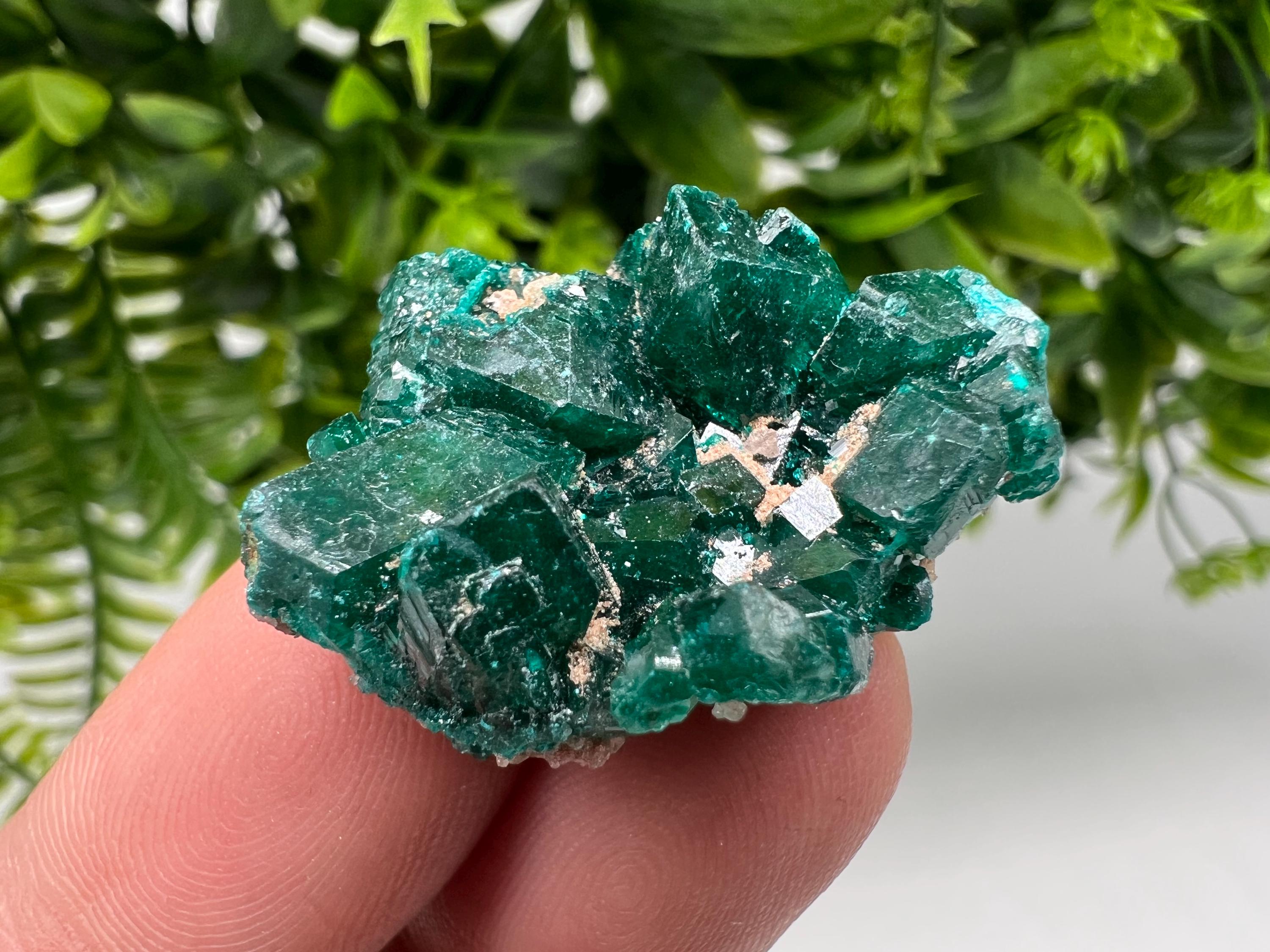 Stunning Green Dioptase from Sanda Hills,Mindouli,Pool Department,Mindouli District,Congo,green Dioptase,Dioptas Crystal,Dioptase collecting
