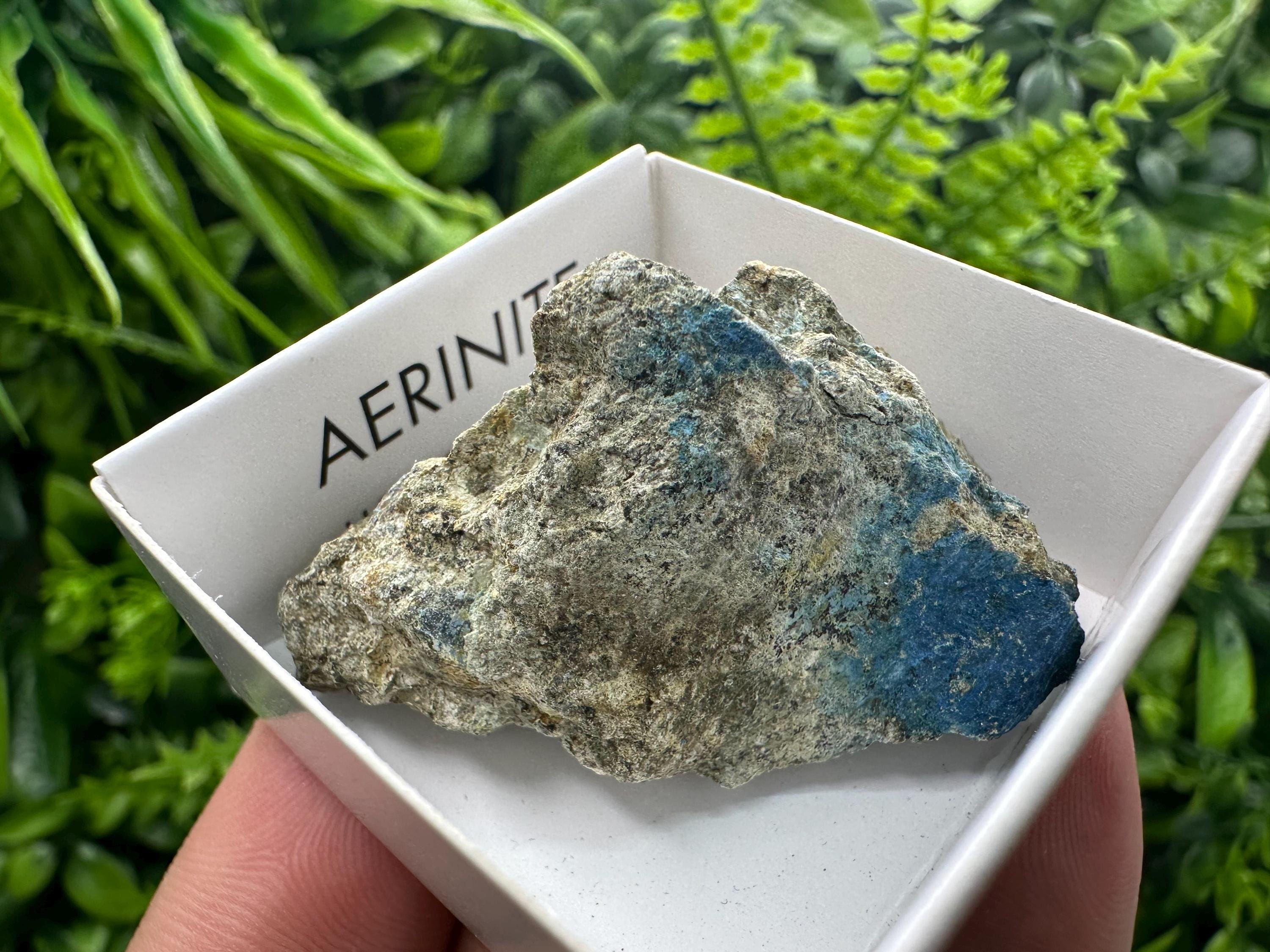Rare Raw Aerinite Mineral Specimen: Lleida, Spain Crystal