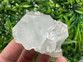 Apophyllite Stilbite on Chalcedony Specimen, India Crystal