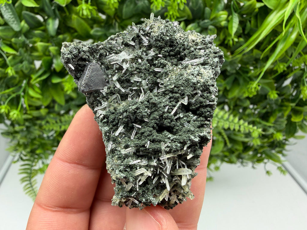 Sphalerite  on Green Quartz: Borieva Mine Crystal Decor