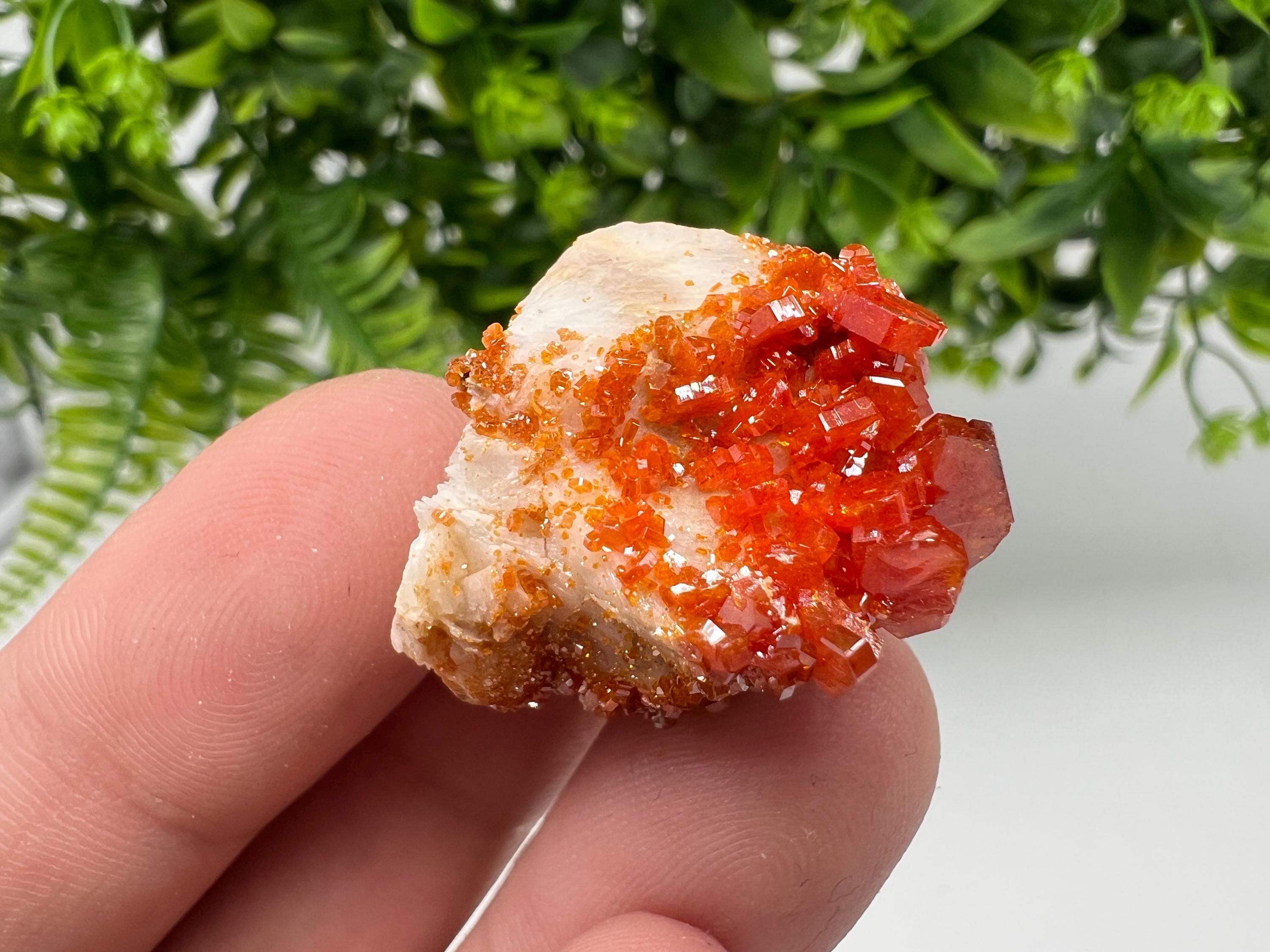 Red Vanadinite on Barite from Marocco,crystal minerals Speciment cluster Vanadinite crystal Vanadinite Geology Vanadinite cluster minerals