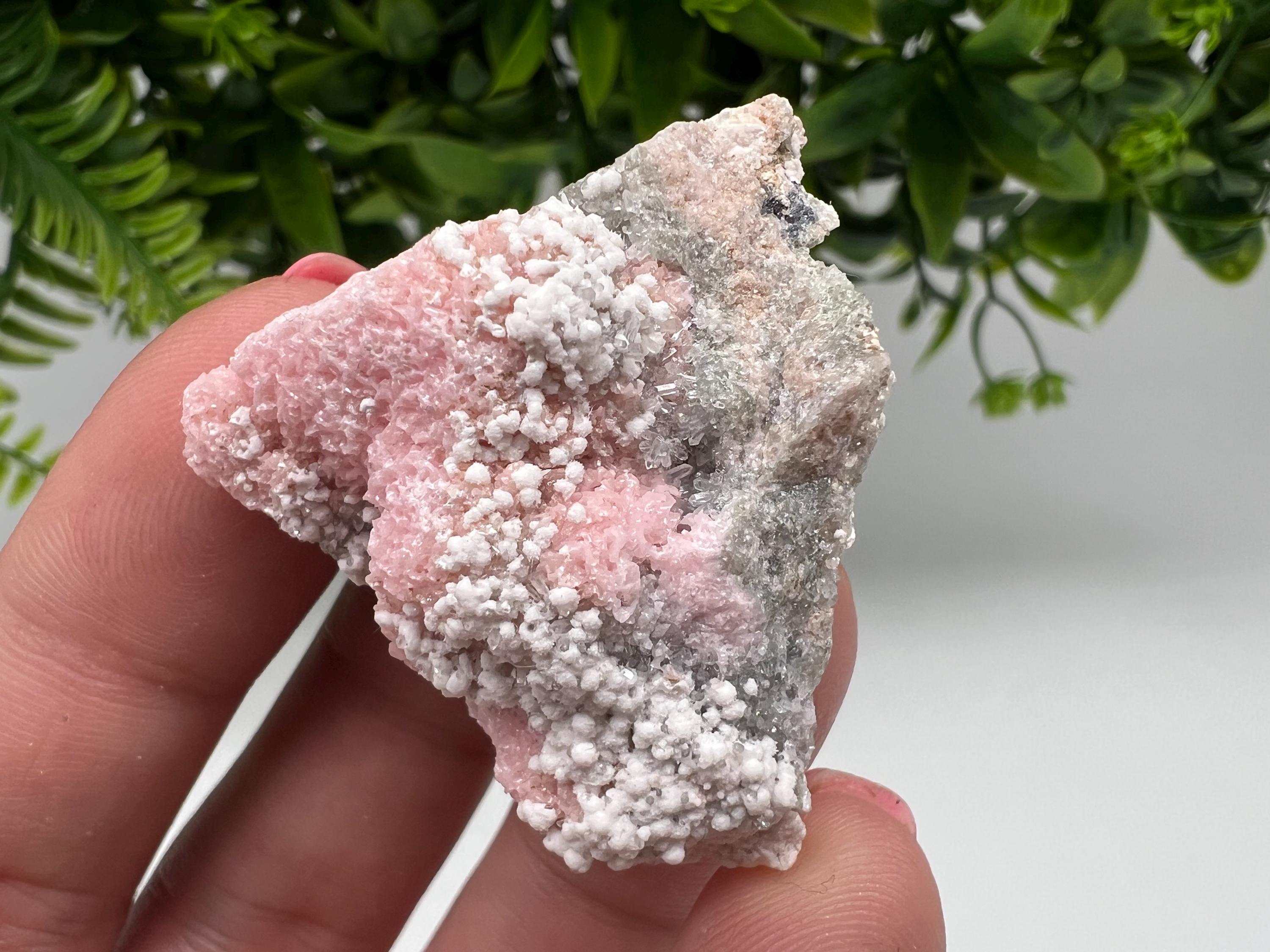 RARE Rhodochrosite with White Calcite, Starnica Mine, Bulgaria