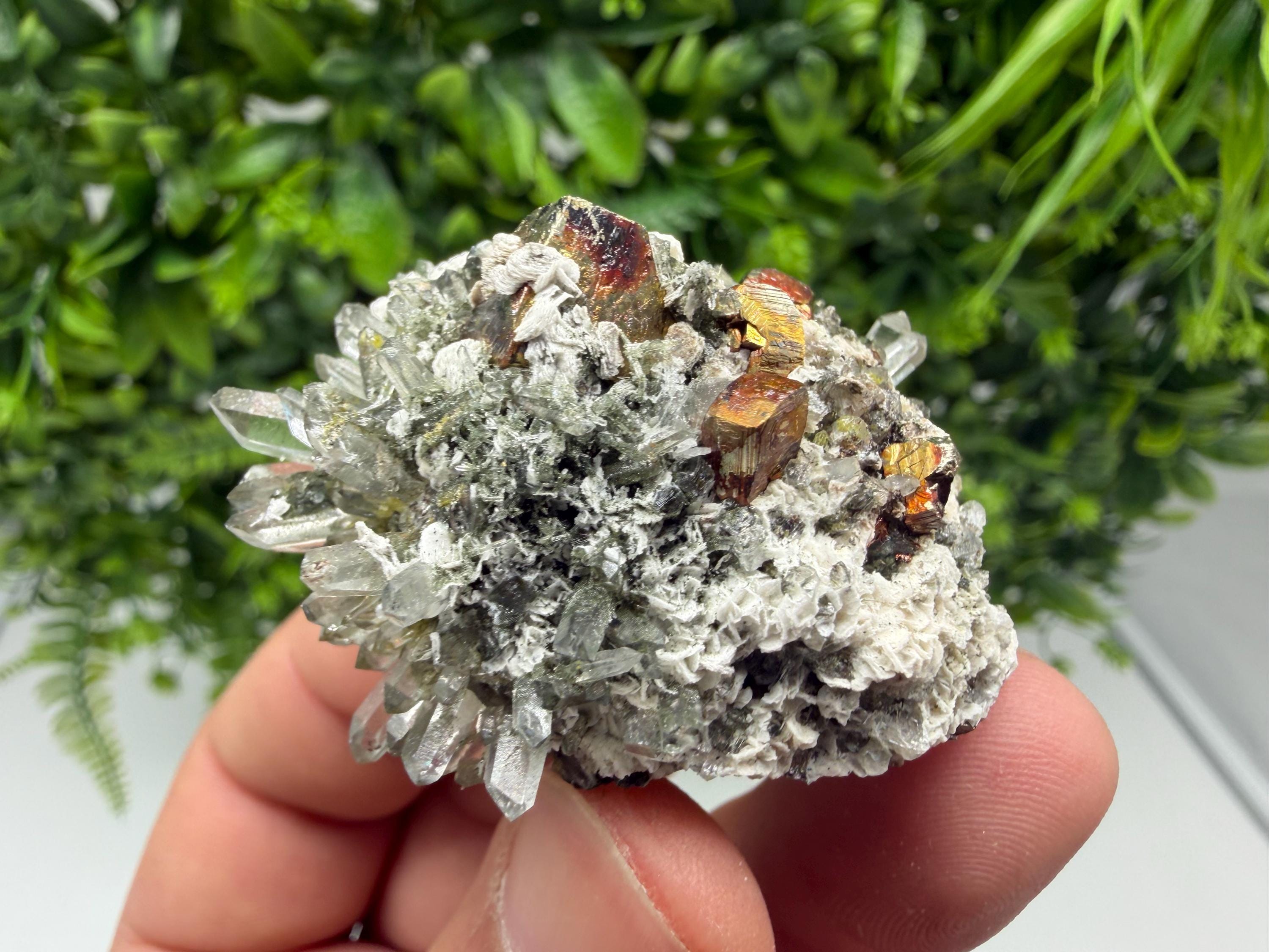 Pyrite Galena on Green Quartz, Chlorite Mineral Specimen, Bulgaria