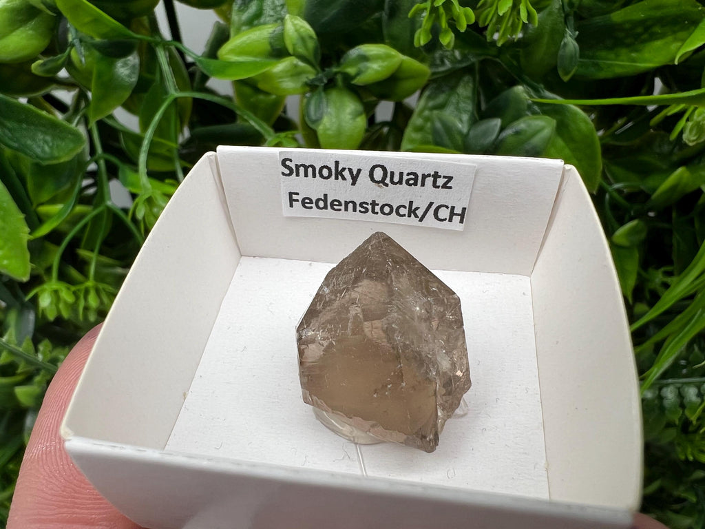 Rare Smoky Quartz Point, Fedenstock Switzerland Mineral Specimen (22/22 MM)