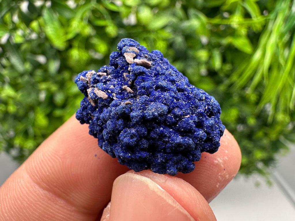 Crystallized Azurite-Kerrouchen,Morocco-Blue Azurite Specimen-High Quality Blue Azurite-Azurite Mineral Specimen, gemmy,lustrous of Azurite