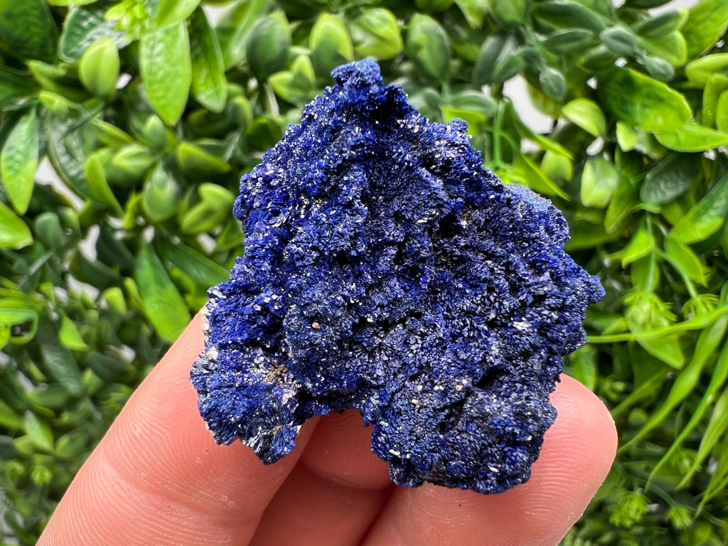 Crystallized Azurite-Kerrouchen,Morocco-Blue Azurite Specimen-High Quality Blue Azurite-Azurite Mineral Specimen, gemmy,lustrous of Azurite