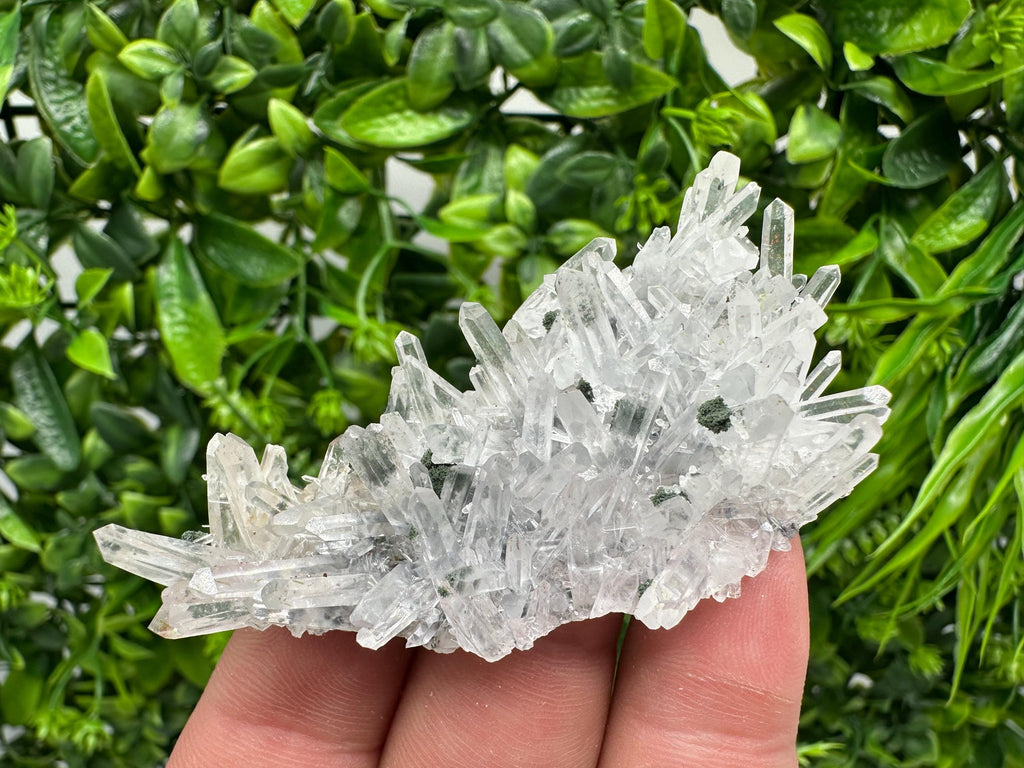 Chlorite Quartz Crystal Cluster - Borieva Mine, Bulgaria
