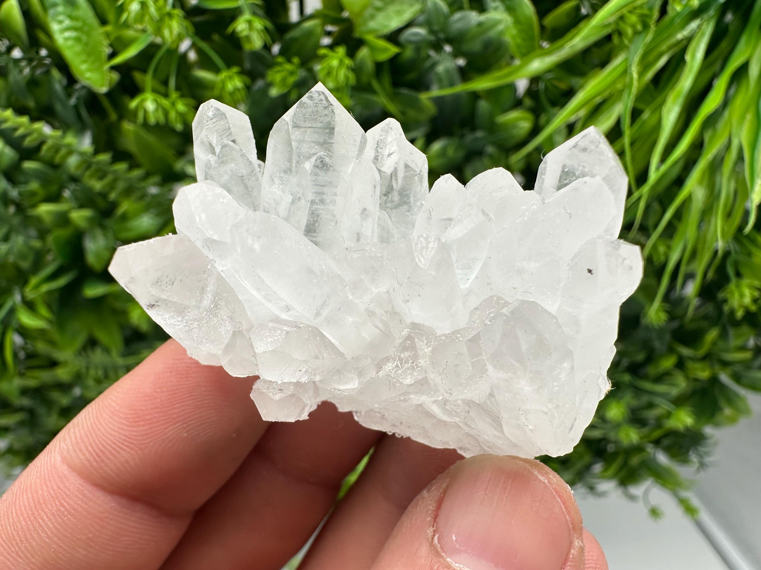 Transparent Quartz on Chlorite Matrix, Borieva Mine, Bulgaria