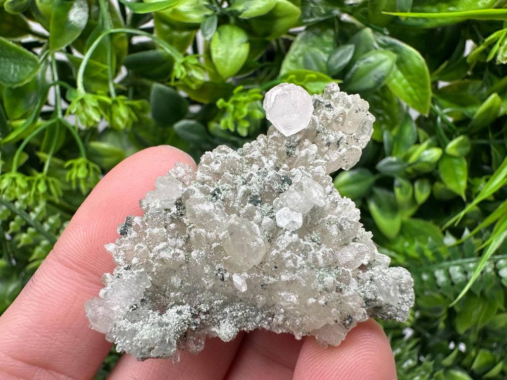 Transparent Quartz on Chlorite Matrix, Madan Bulgaria Mineral Specimen