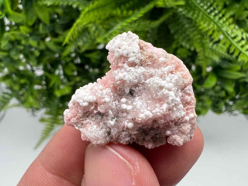 RARE Rhodochrosite whit white Calcite,pink mineral,Starnica Mine,Davidcovo,Bulgaria natural mineral,souvenir crystal,home decor,collectible