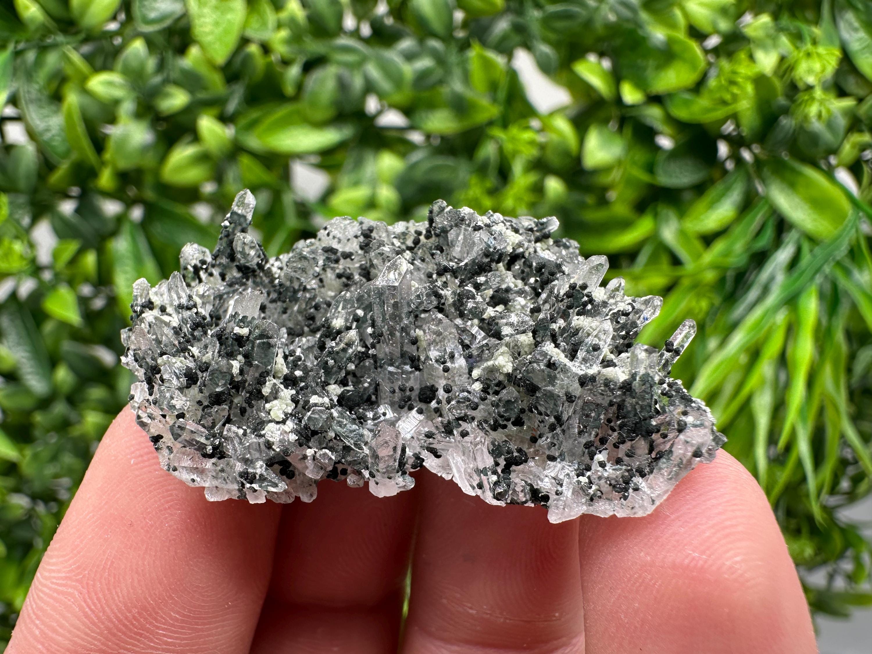 Chlorite Quartz Mineral Specimen, Borieva Mine, Bulgaria