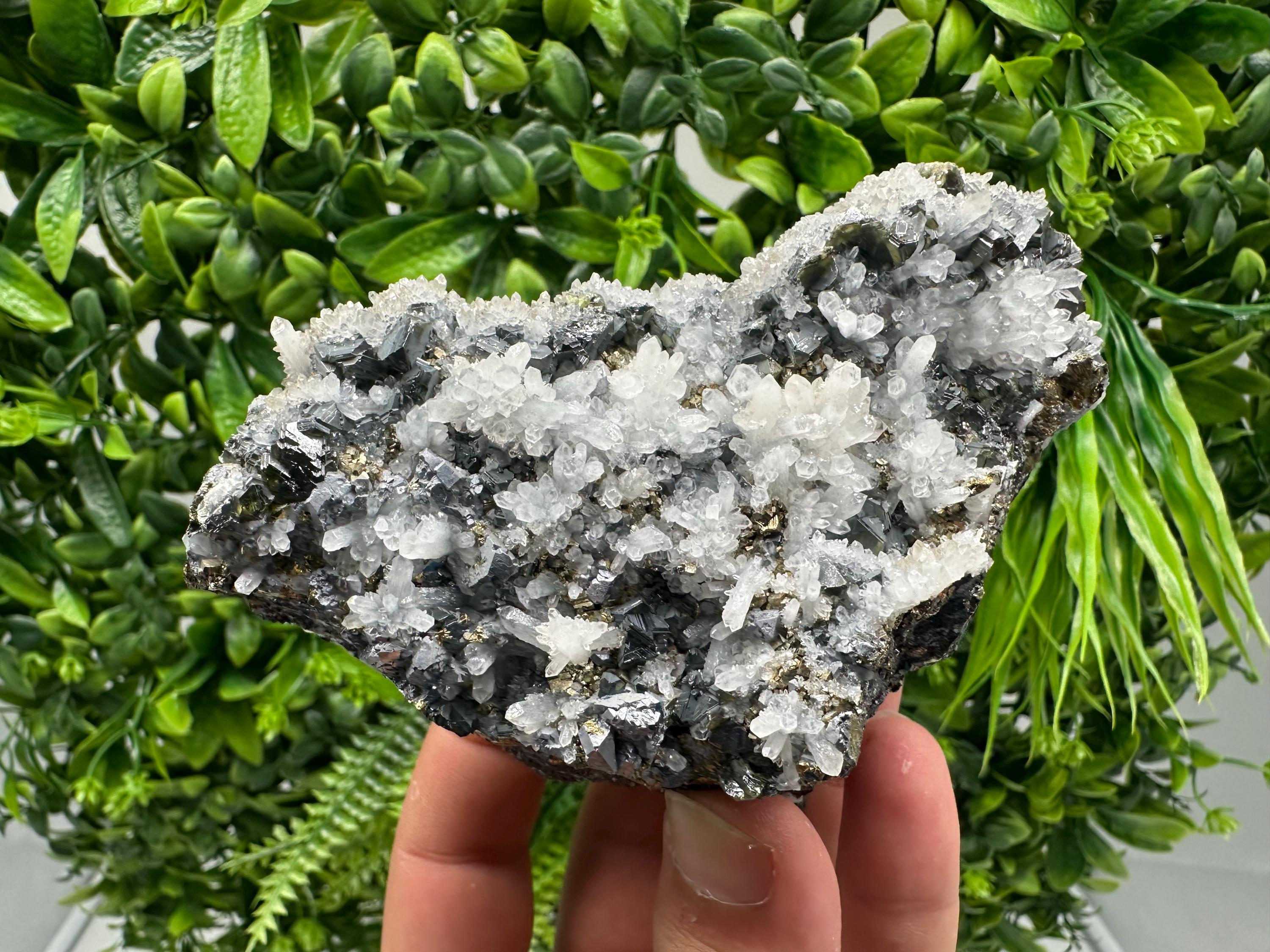 Rare Galena, Sphalerite, Pyrite Mineral Specimen: Krushev Dol Mine, Bulgaria