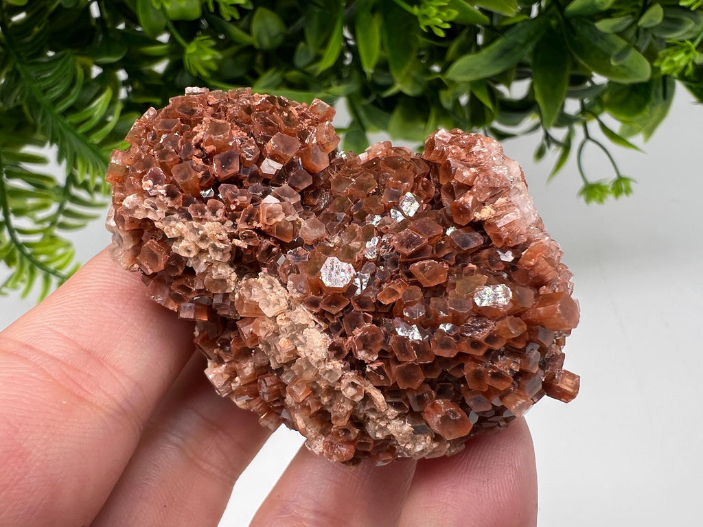 Large Aragonite Sputnik Cluster: Raw Moroccan Crystal Stone