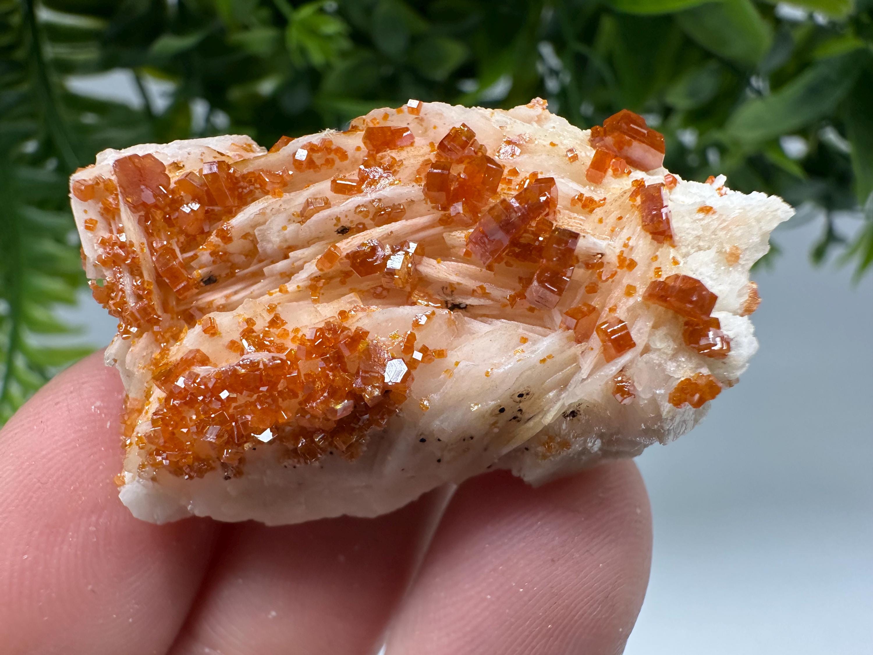 Red Vanadinite Crystal Cluster on Barite, Morocco Mineral Specimen