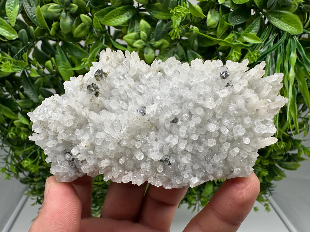 Stunning Gems Sphalerite Cleiopfane on Quartz from Krushev dol mine,Madan,Bulgaria,natural,collectible mineral specimen,home decor stone