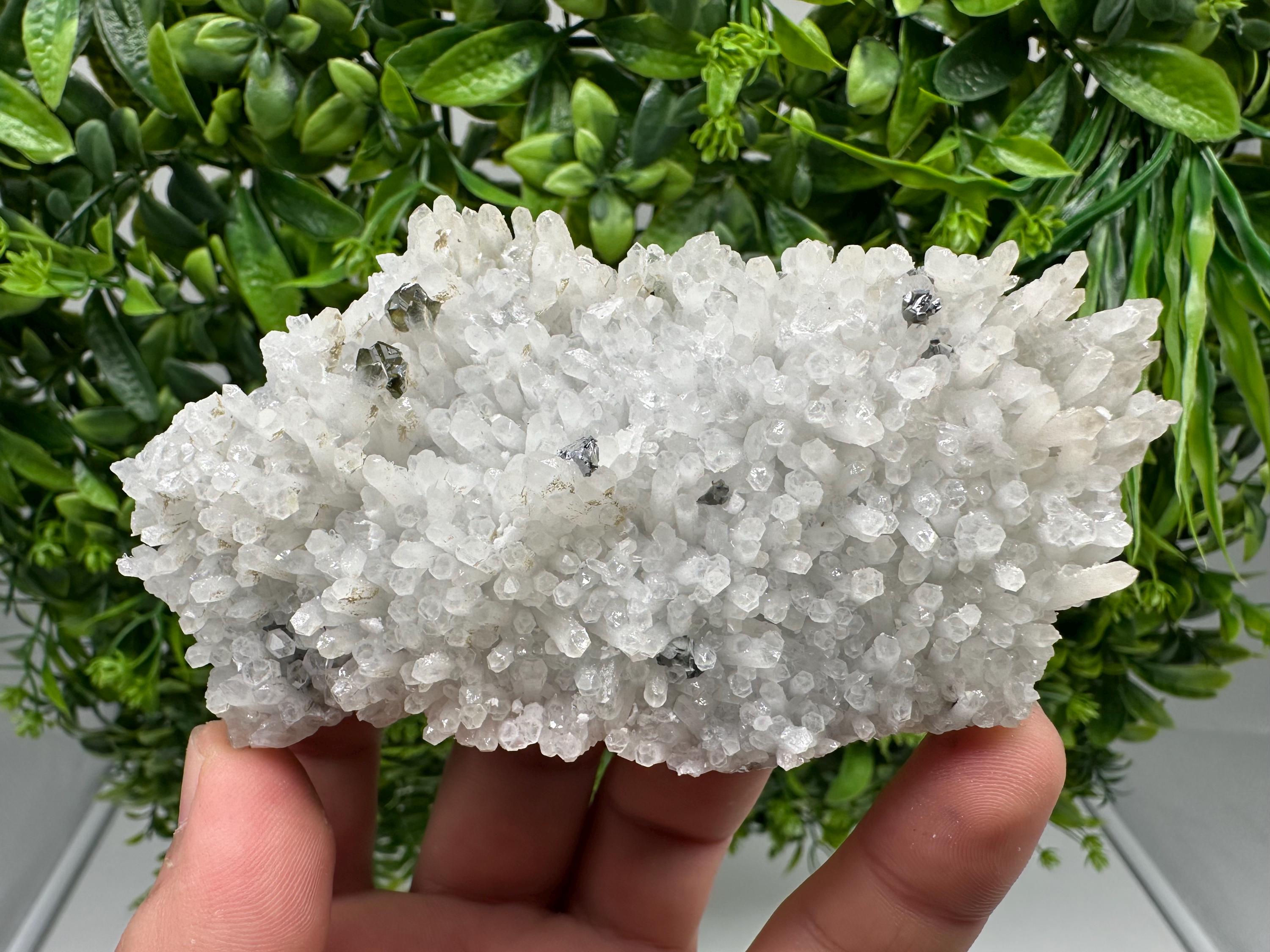 Stunning Gems Sphalerite Cleiopfane on Quartz from Krushev dol mine,Madan,Bulgaria,natural,collectible mineral specimen,home decor stone