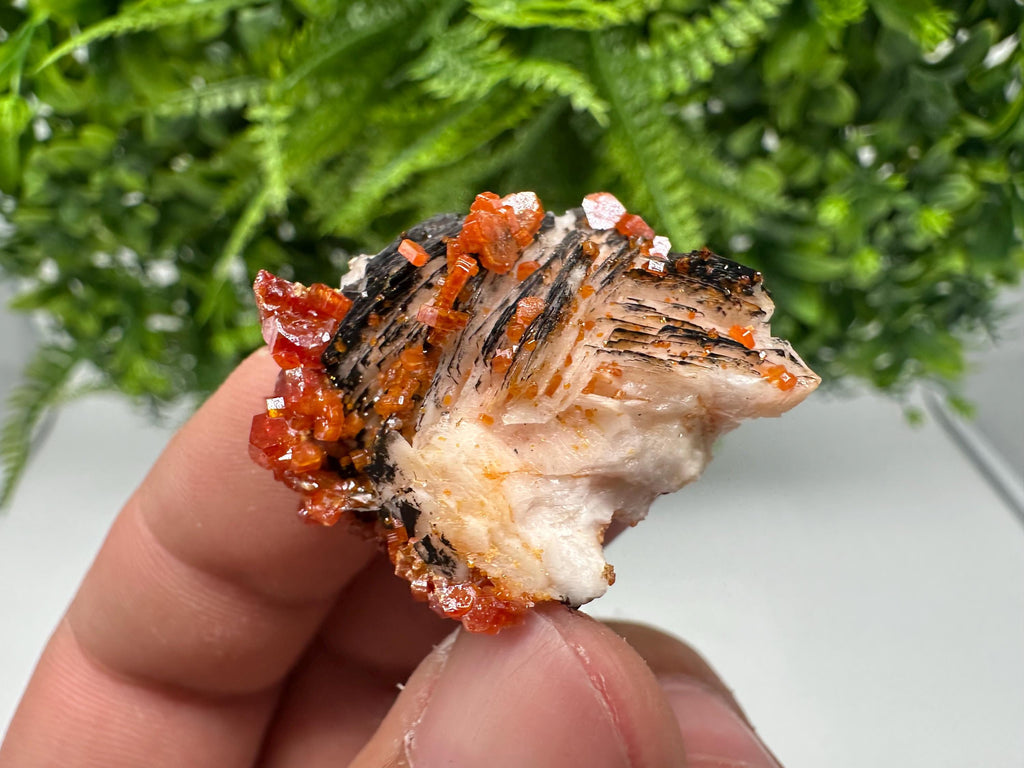 Red Vanadinite on Barite from Marocco,crystal minerals Speciment cluster Vanadinite crystal Vanadinite Geology Vanadinite cluster minerals