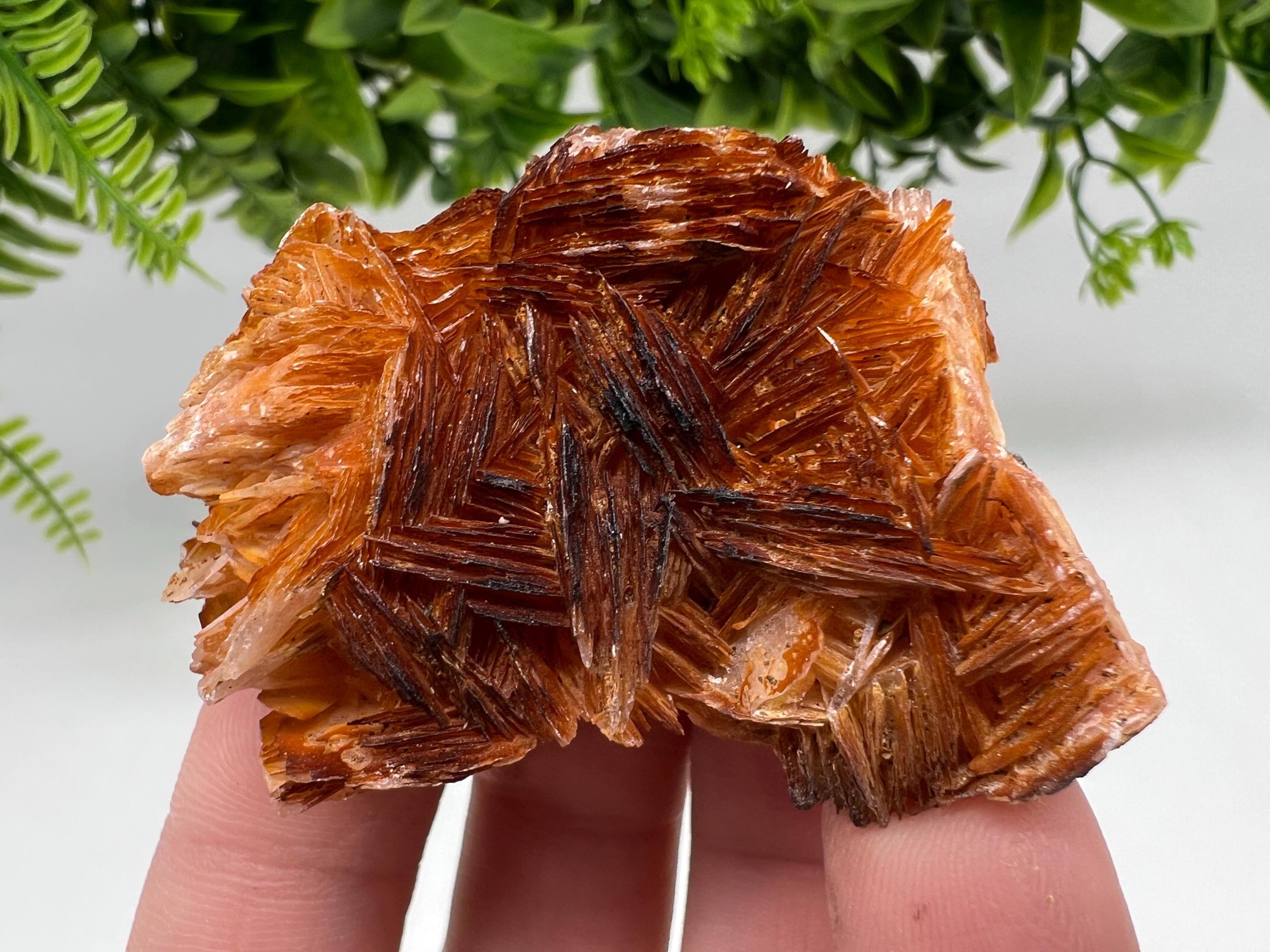 Wonderful Baryte with Cerussite on Galena from Morocco,Crystal, Mineral,Specimen,Cluster,Crystals,Barite Crystal,Cerussite Crystal,Specimen