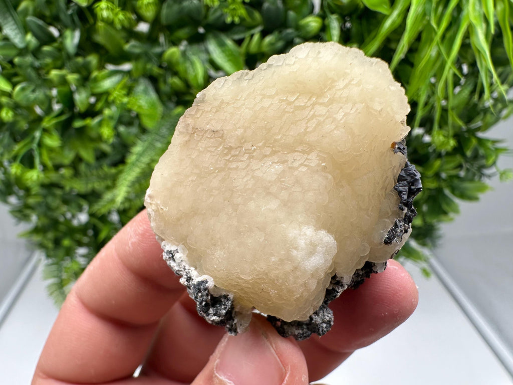 Wonderful and Rare Calcite on Matrix,from 9th September mine,Bulgaria,natural minerals souvenir,gift,home decor,collection Calcite cluster