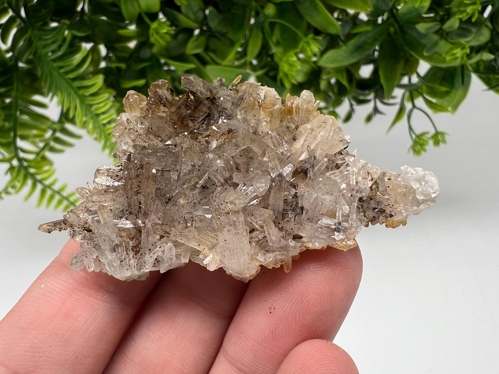 Bulgarian Quartz Mineral Specimen: Iron Oxide Limonite, 9th September Mine