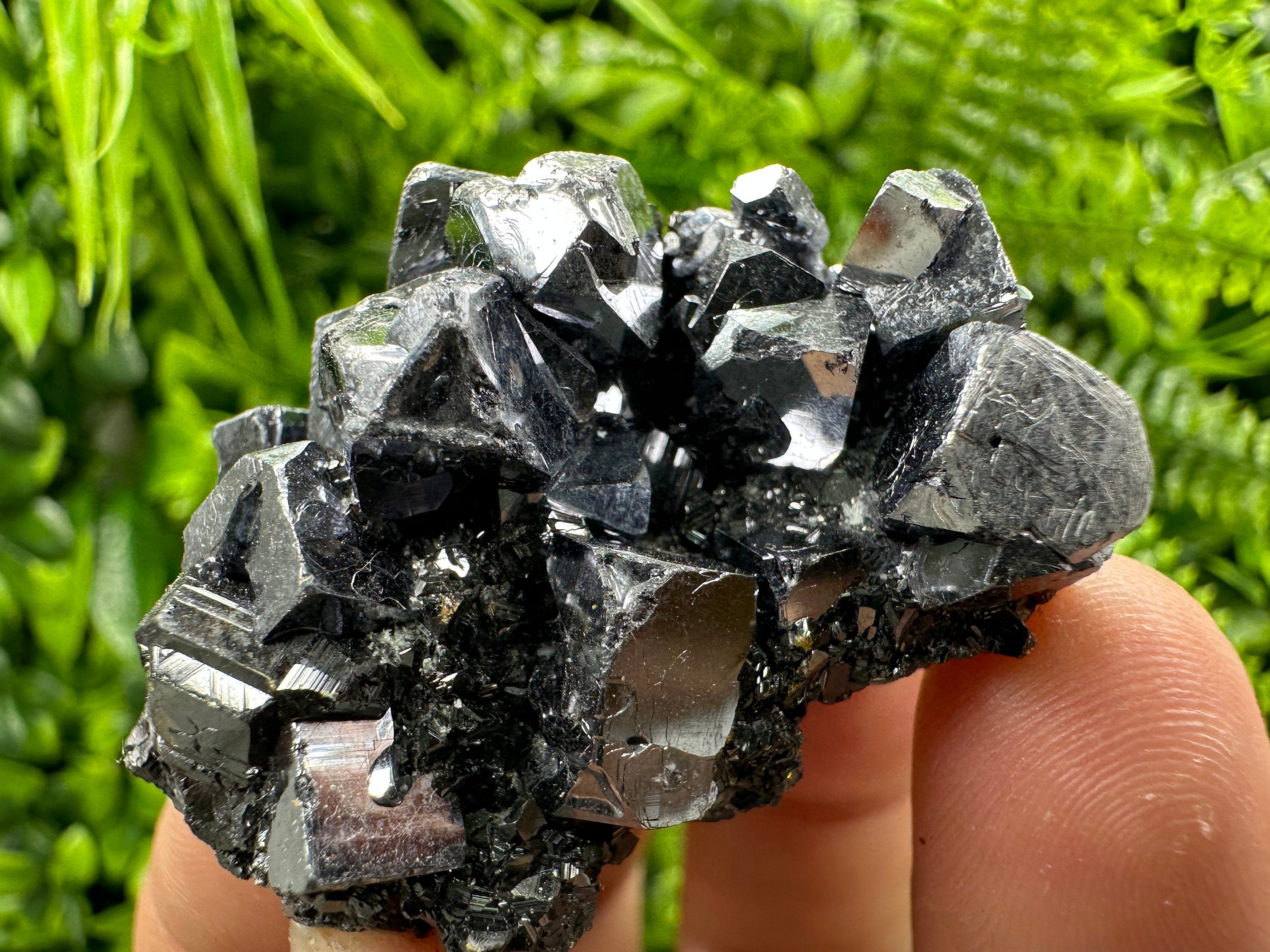 Galena on Sphalerite Specimen - Borieva Mine, Bulgaria