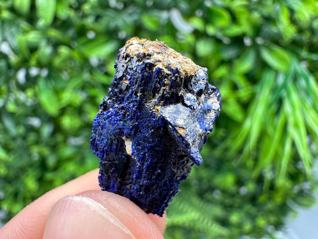 Crystallized Azurite-Kerrouchen,Morocco-Blue Azurite Specimen-High Quality Blue Azurite-Azurite Mineral Specimen, gemmy,lustrous of Azurite