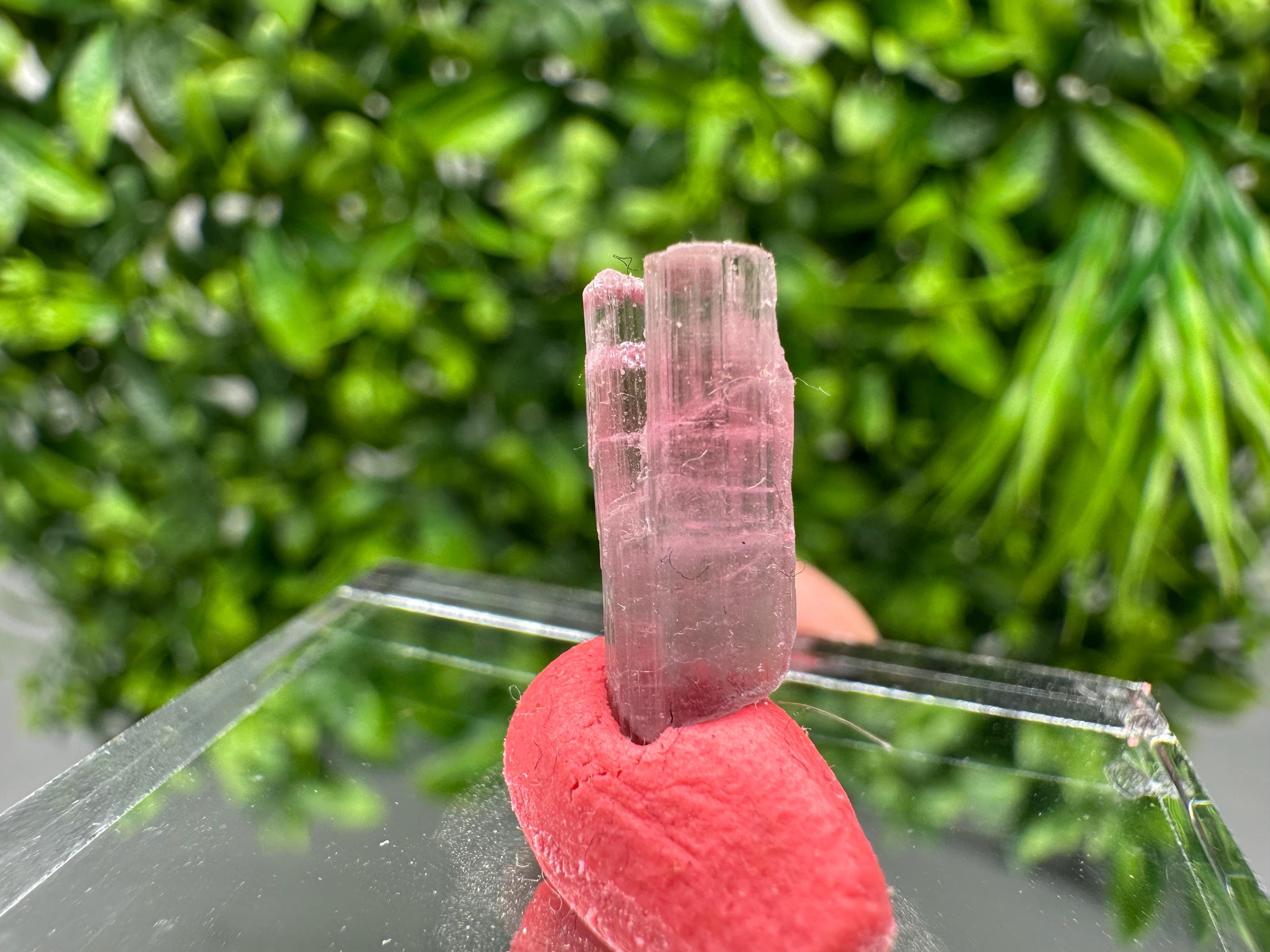 Rare Pink & Green Rubellite Tourmaline Pencil - 15mm