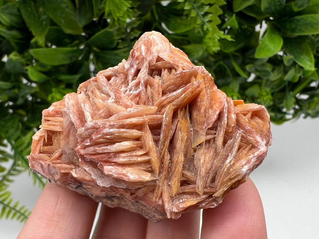 Wonderful Baryte with Cerussite on Galena from Morocco,Crystal, Mineral,Specimen,Cluster,Crystals,Barite Crystal,Cerussite Crystal,Specimen