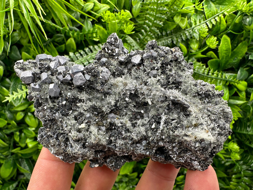 Sphalerite Pyrite on Quartz, Bulgaria Mineral Specimen (10/7/3.5 cm)
