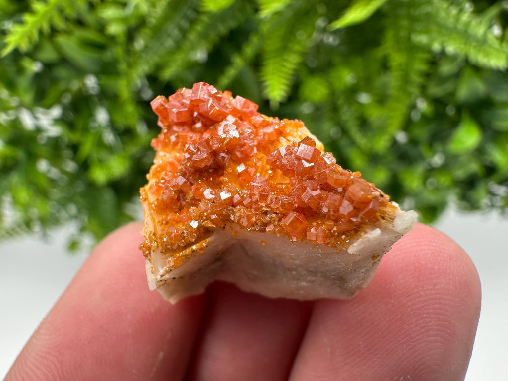 Red Vanadinite Crystal Cluster on Barite Matrix, Moroccan Mineral Specimen