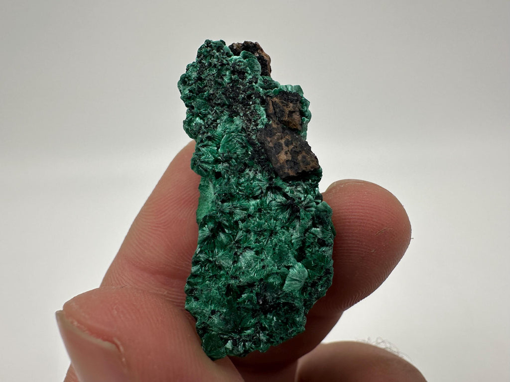 Green Polished Malachite Crystal from Congo (4.5/2.5cm)