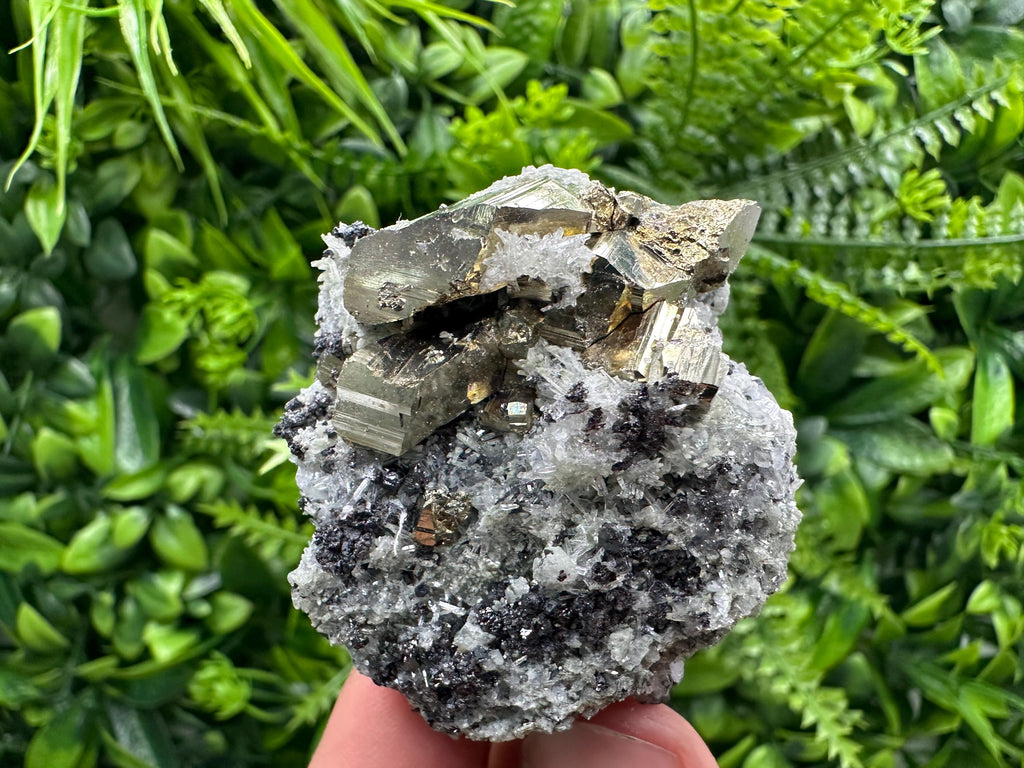 Sphalerite Pyrite on Quartz with Chlorite, Borieva Mine Mineral Specimen