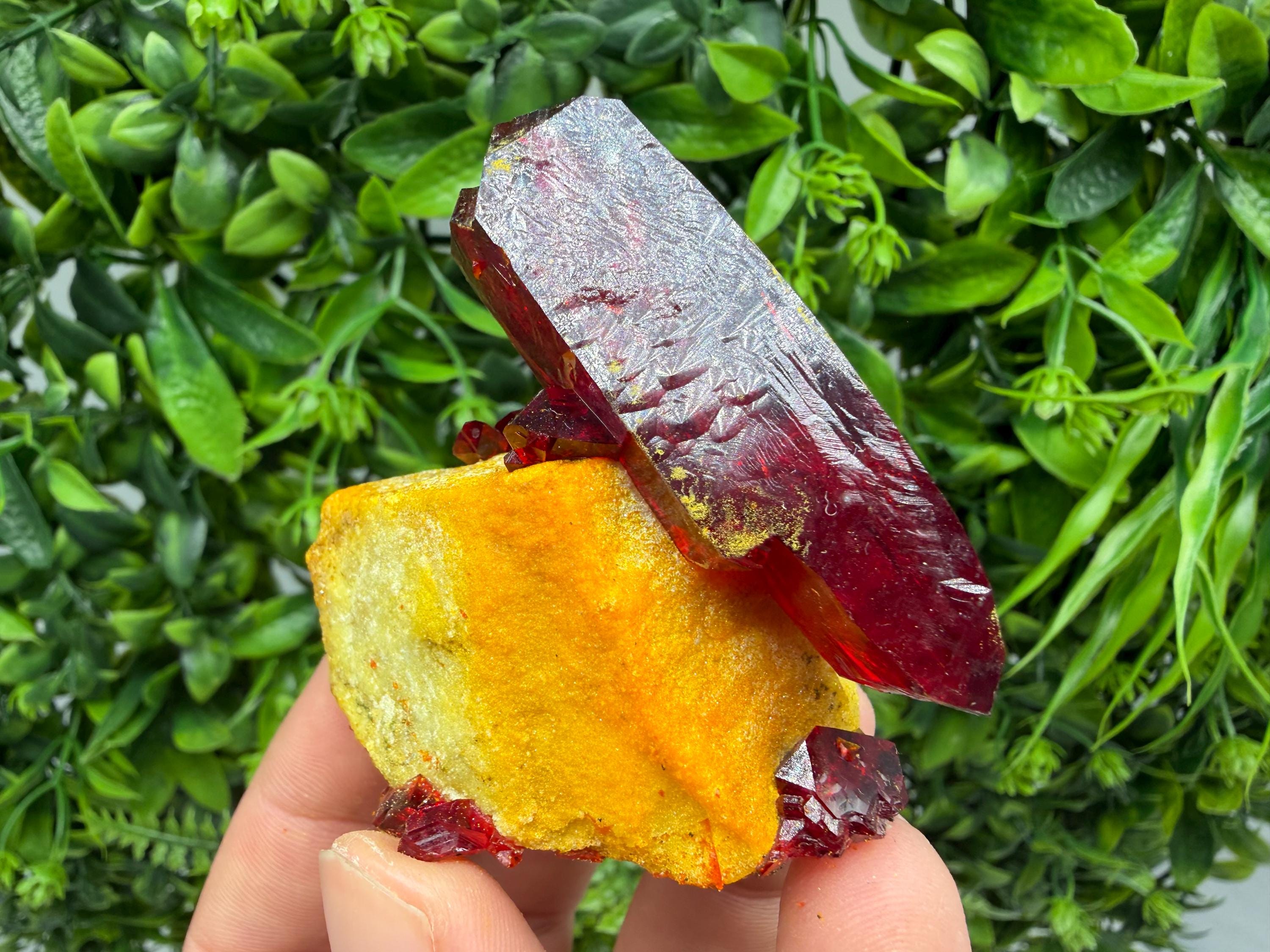 XXL Laboratory Pruskite Ruby Crystal on Matrix
