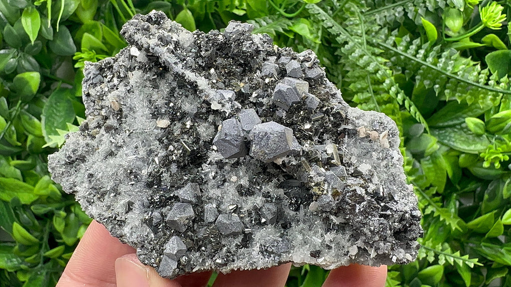 Galena with Sphalerite on Quartz, Borieva Mine, Bulgaria