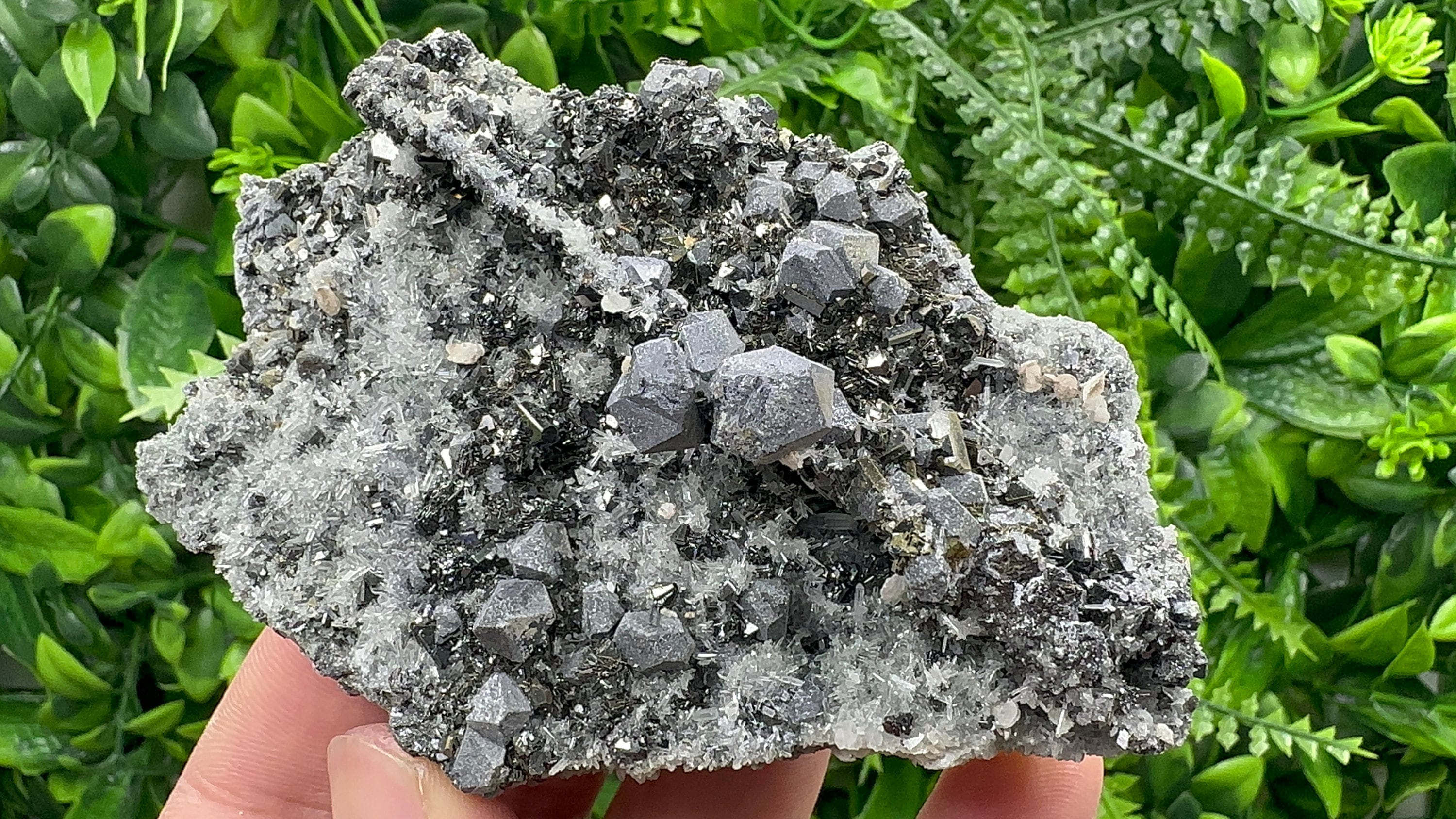 Galena with Sphalerite on Quartz, Borieva Mine, Bulgaria