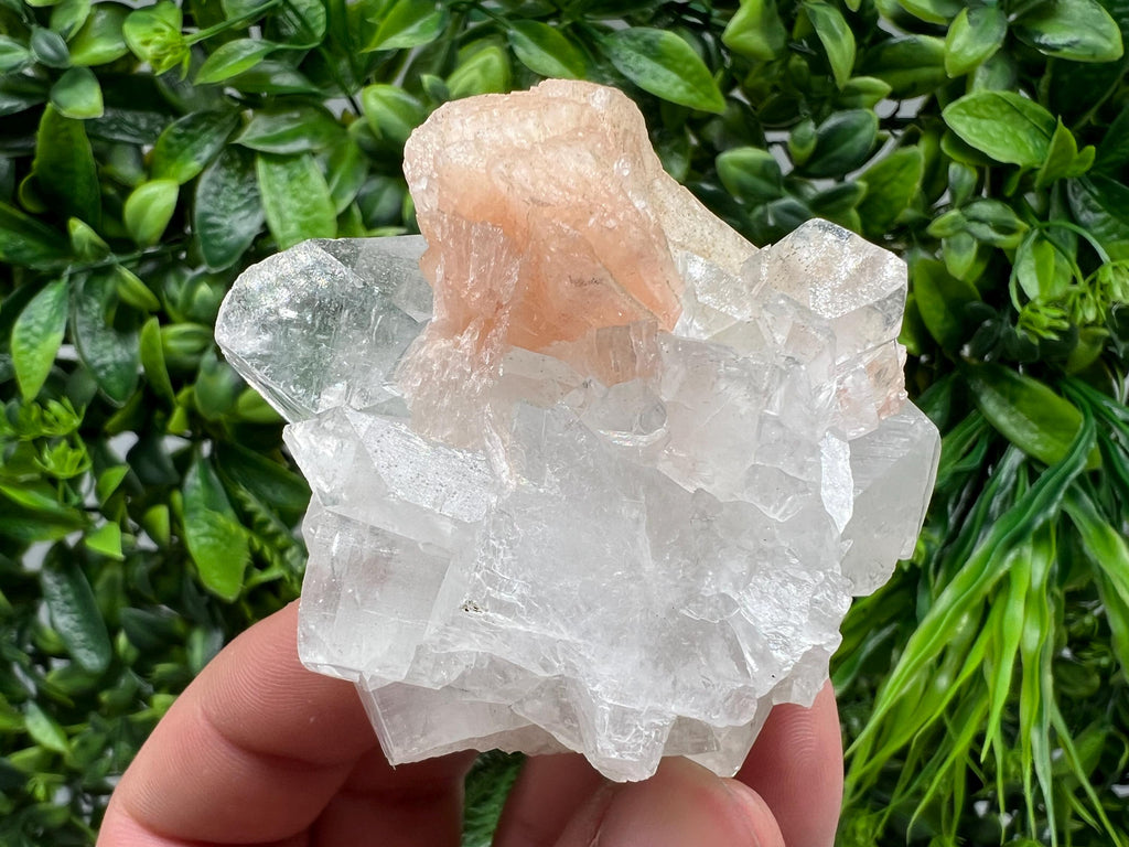 Apophyllite on Chalcedony Specimen: Natural Crystal from India
