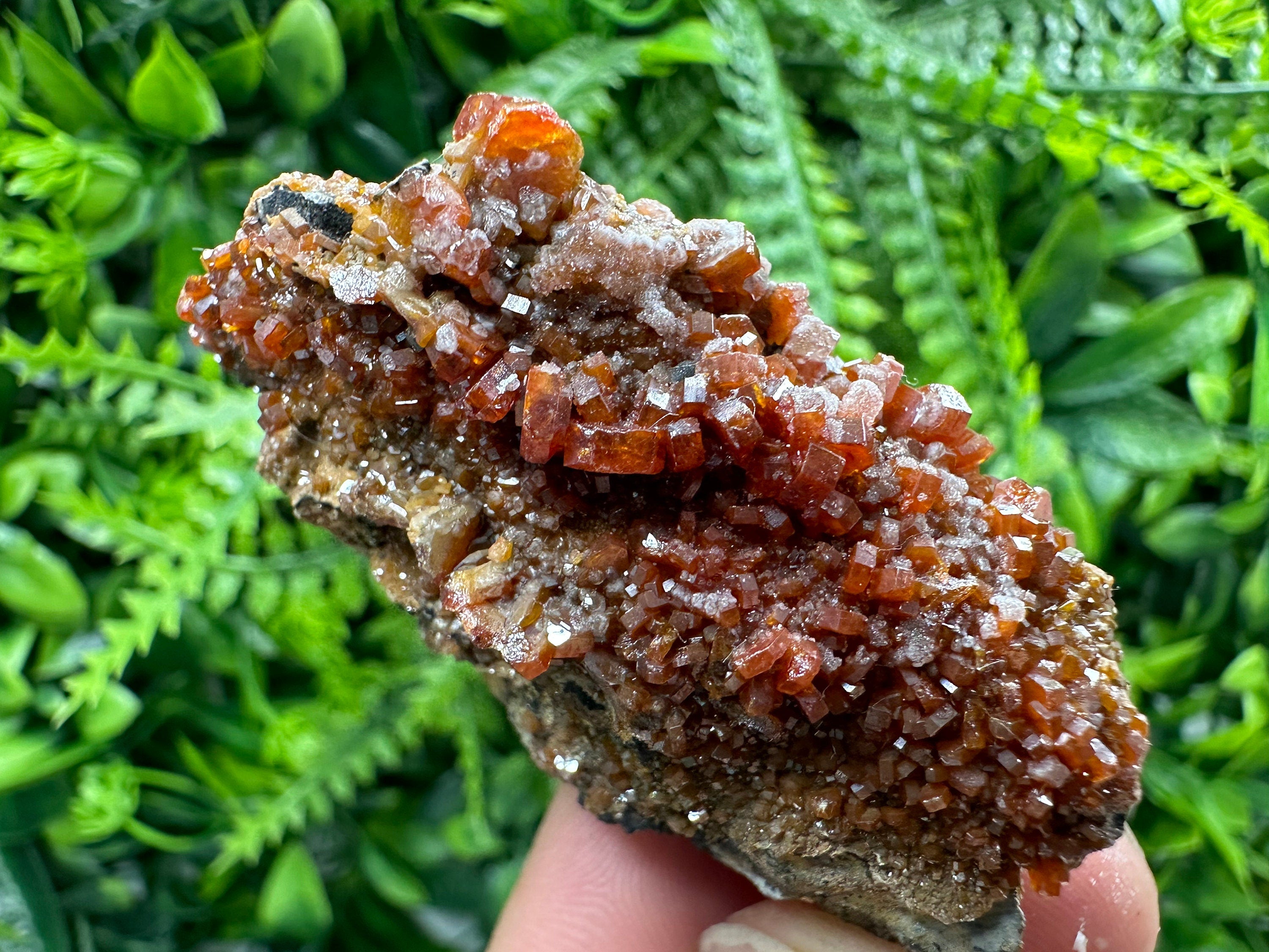 Red Vanadinite Crystal Cluster on Matrix, Morocco Mineral Specimen