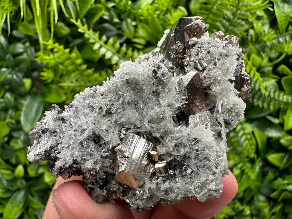 Pyrite on Quartz with Chlorite: Natural Crystal Home Decor from Bulgaria